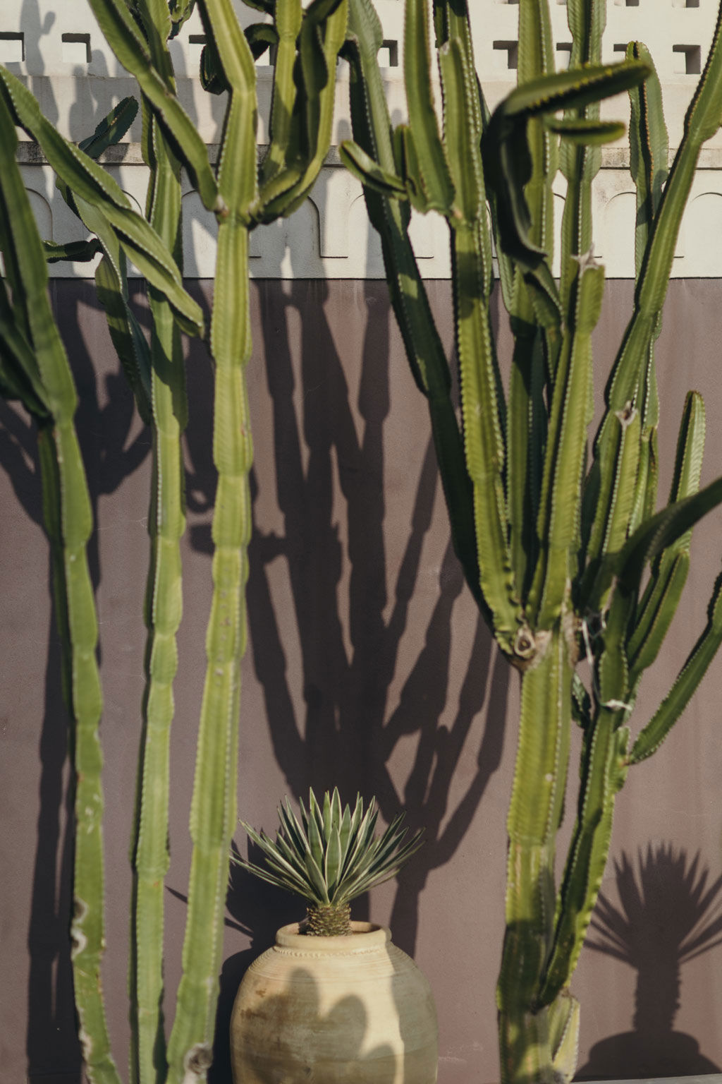 Villa Paola - Unternehmensdaten 2