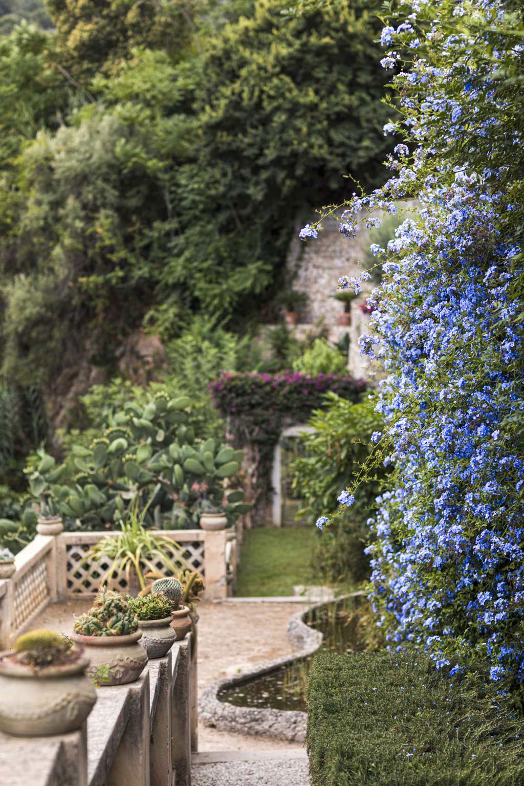 Villa Paola - Dienstleistungen 2