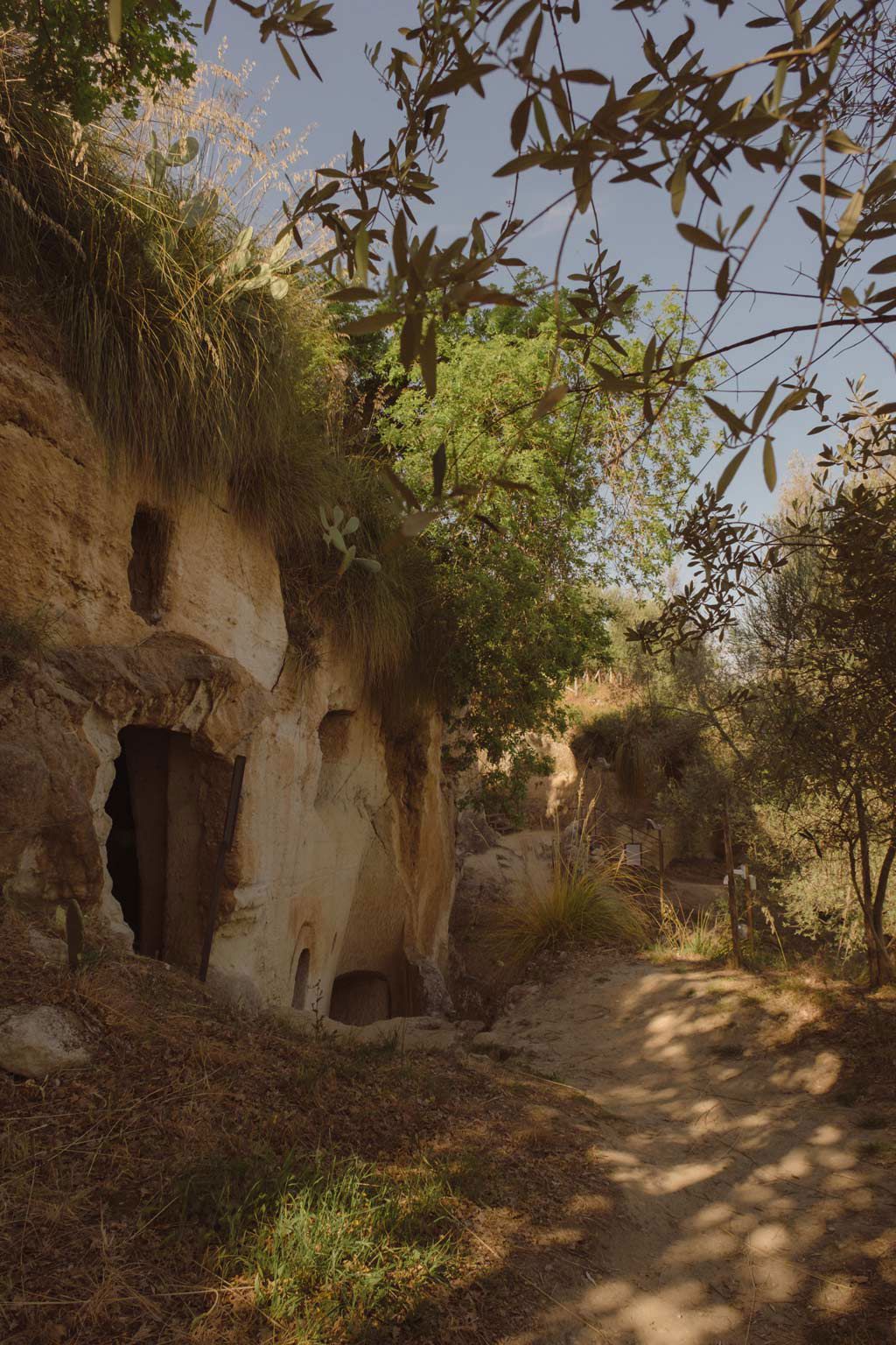 Villa Paola - Die Exkursionen 2