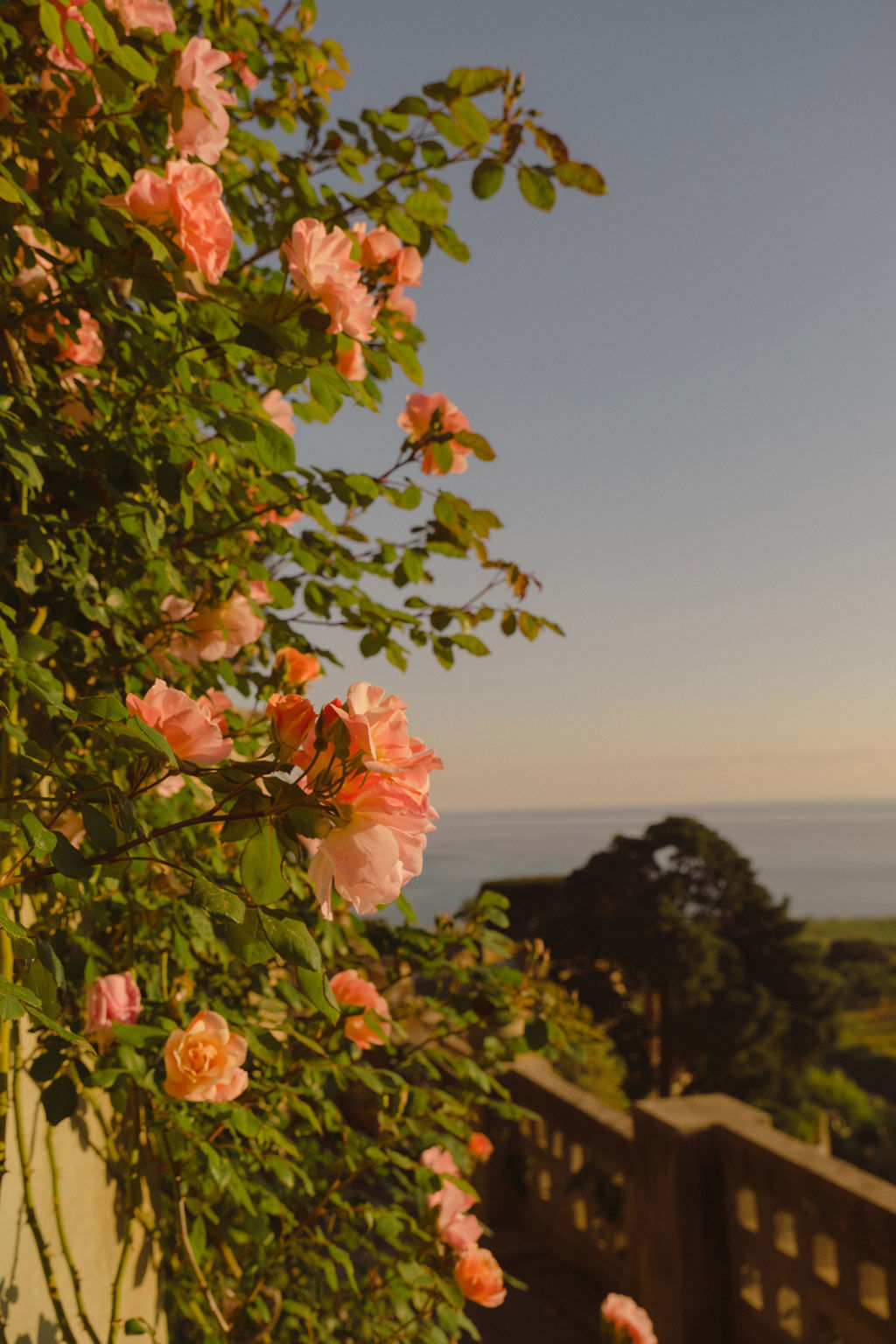 Villa Paola - Angebote 2