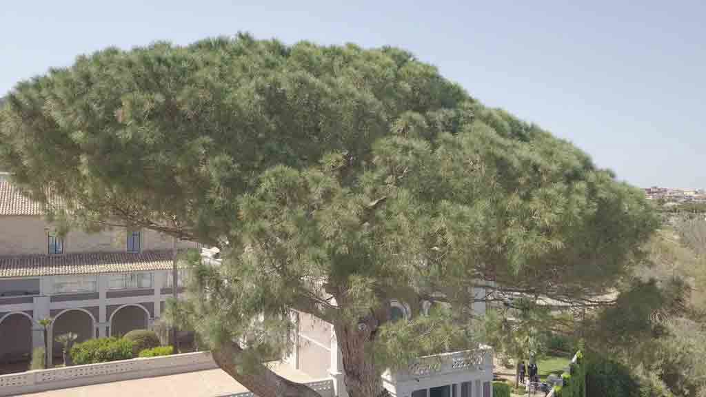 Villa Paola - Galerie 151