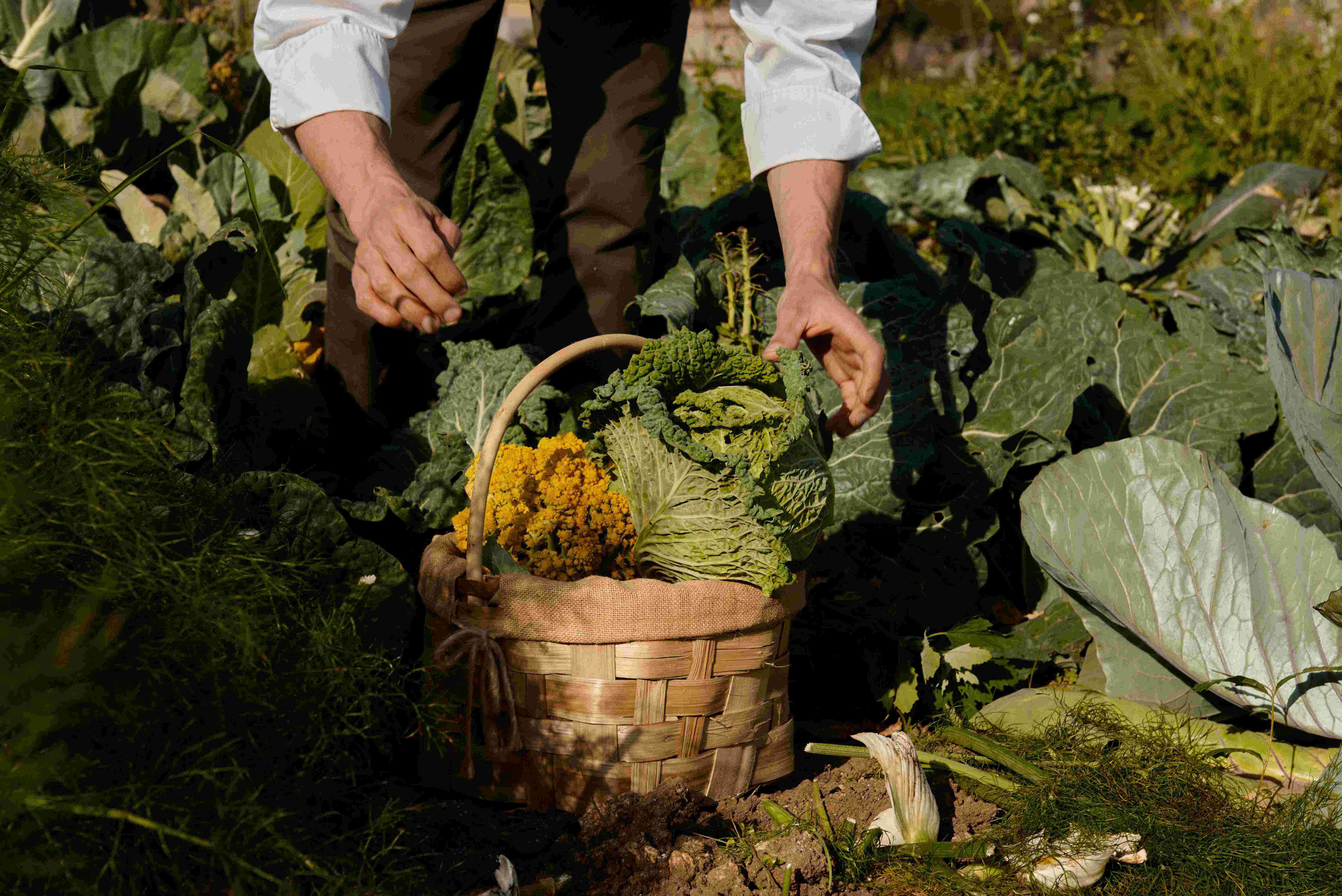 Villa Paola - Home Page 3