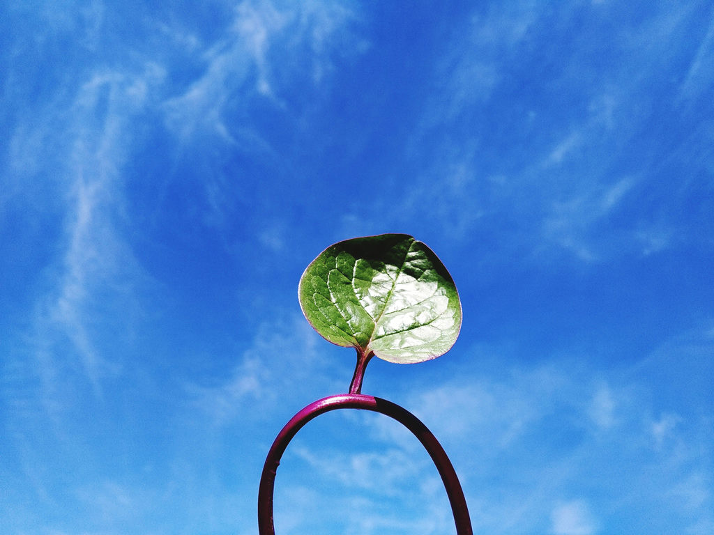 Villa Paola - Sostenibilità 2