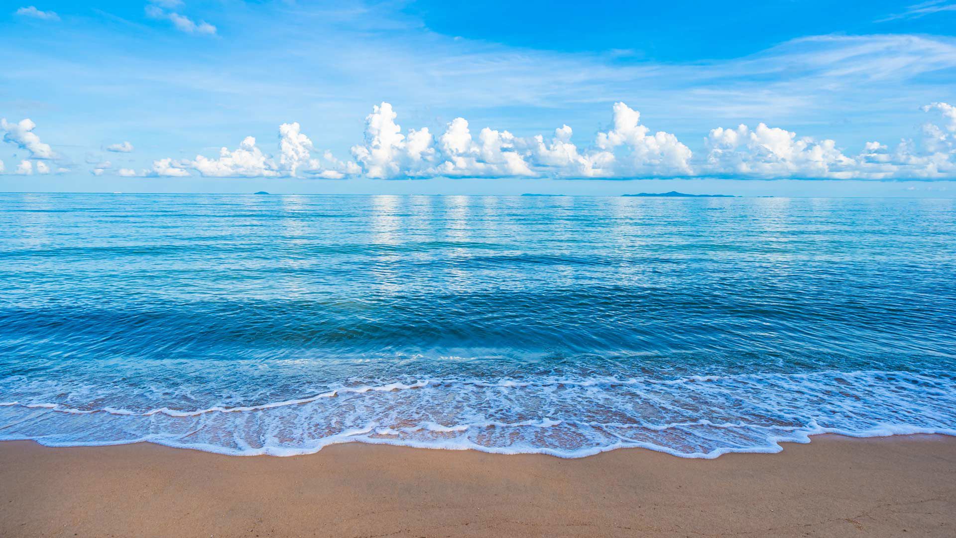 La Spiaggia 2