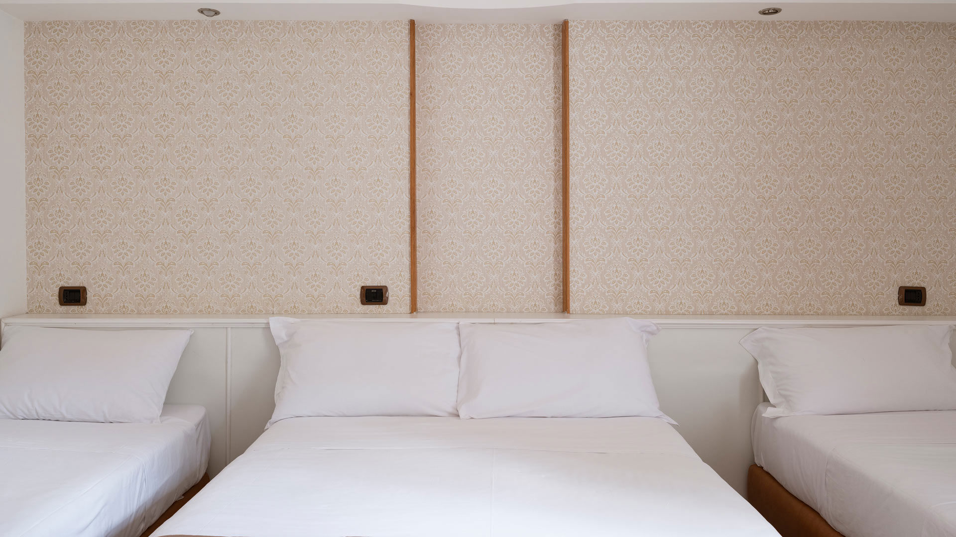 Camera Family 9 Camera Family 9