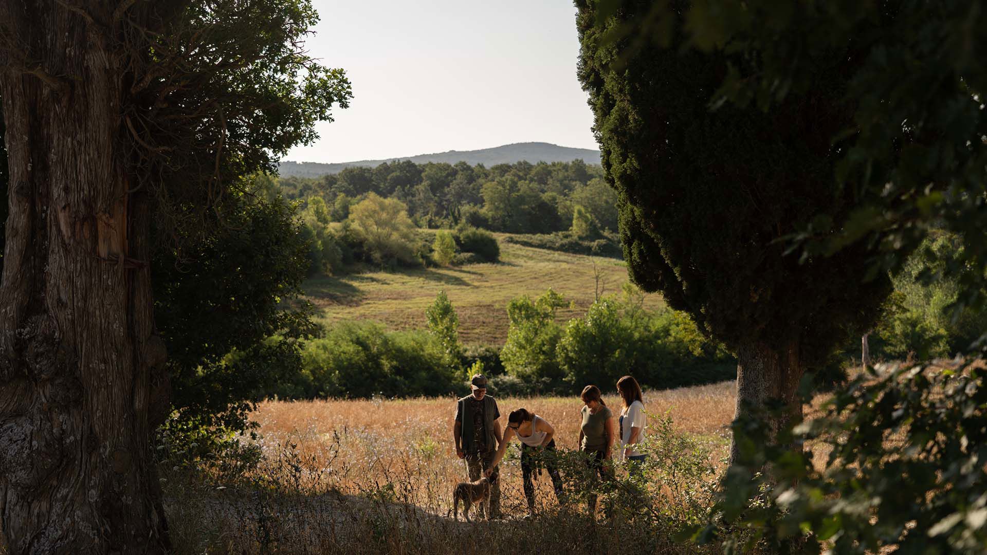 Unforgettable experiences 8