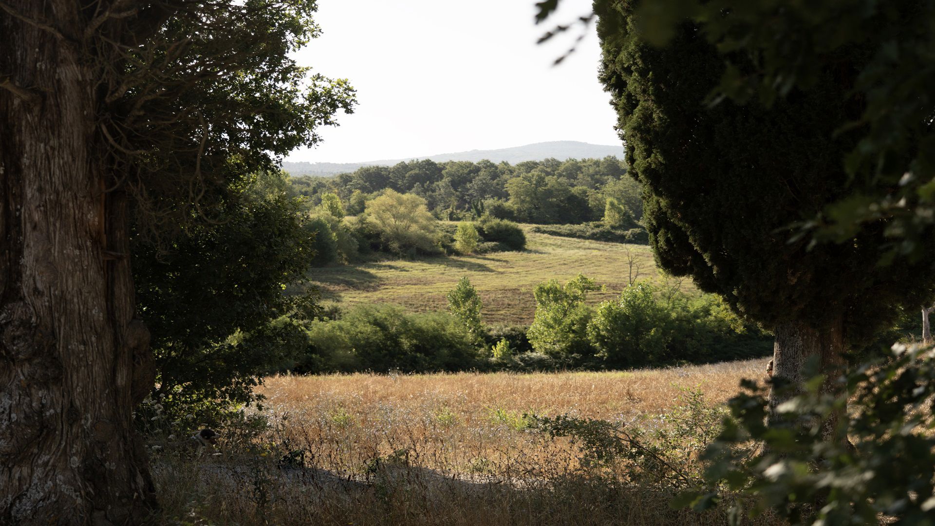 Trekking: alla scoperta del territorio 1