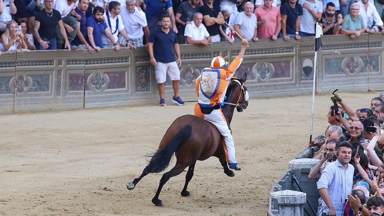 Palio di Siena 3