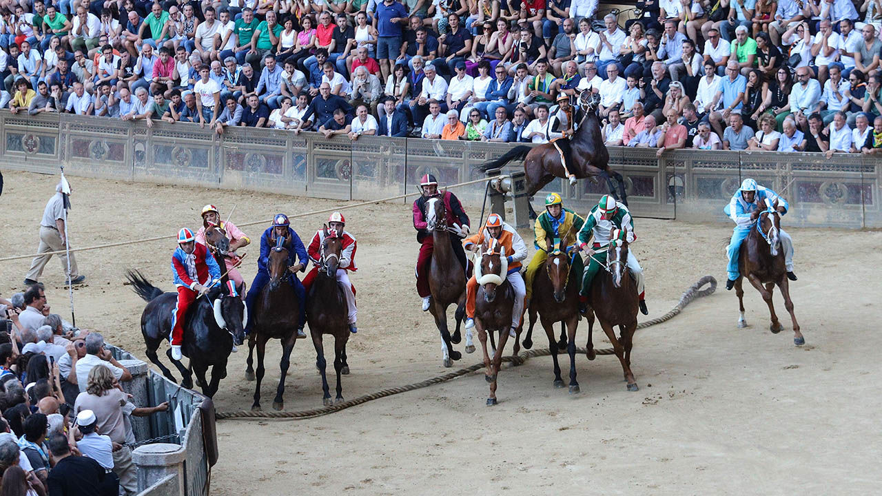 Palio di Siena 1