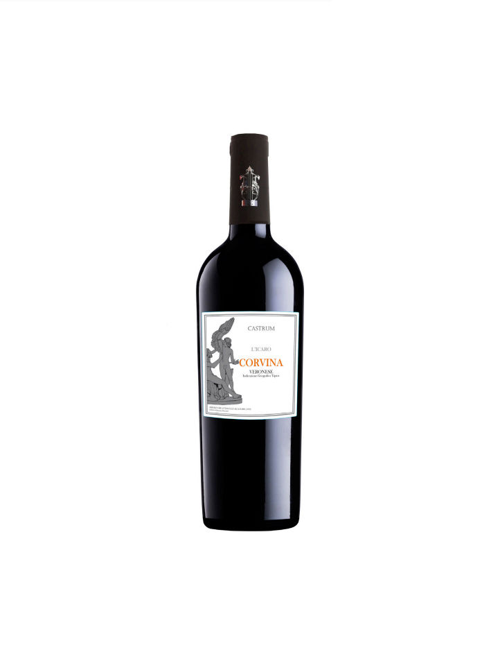 gallery/icaro-corvina-veronese-castrum.jpg gallery/icaro-corvina-veronese-castrum.jpg