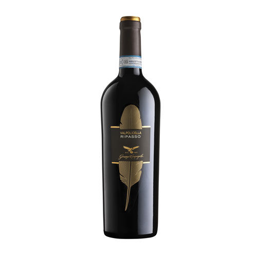 temp/Valpolicella-Ripasso-Classico-superiore-DOC-2019-Cantina-Campagnola-.jpg temp/Valpolicella-Ripasso-Classico-superiore-DOC-2019-Cantina-Campagnola-.jpg