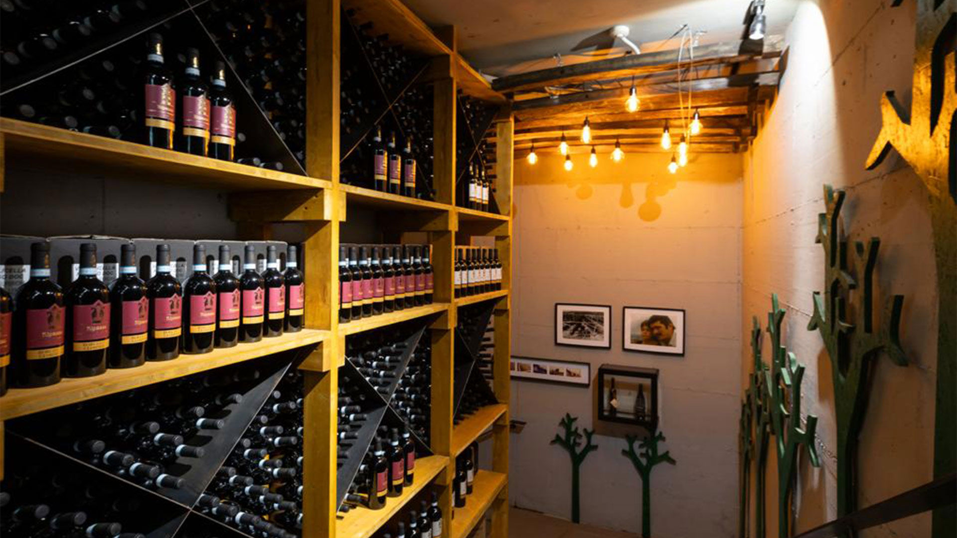 Unsere Weine und Weinprobe 12