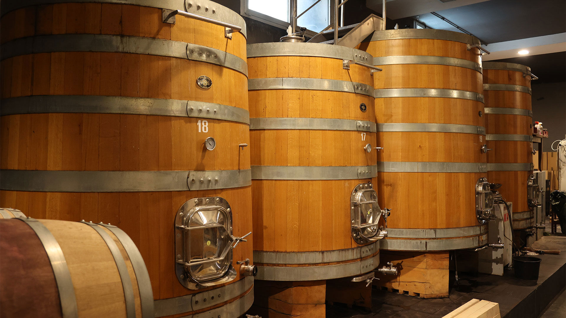 Unsere Weine und Weinprobe 16