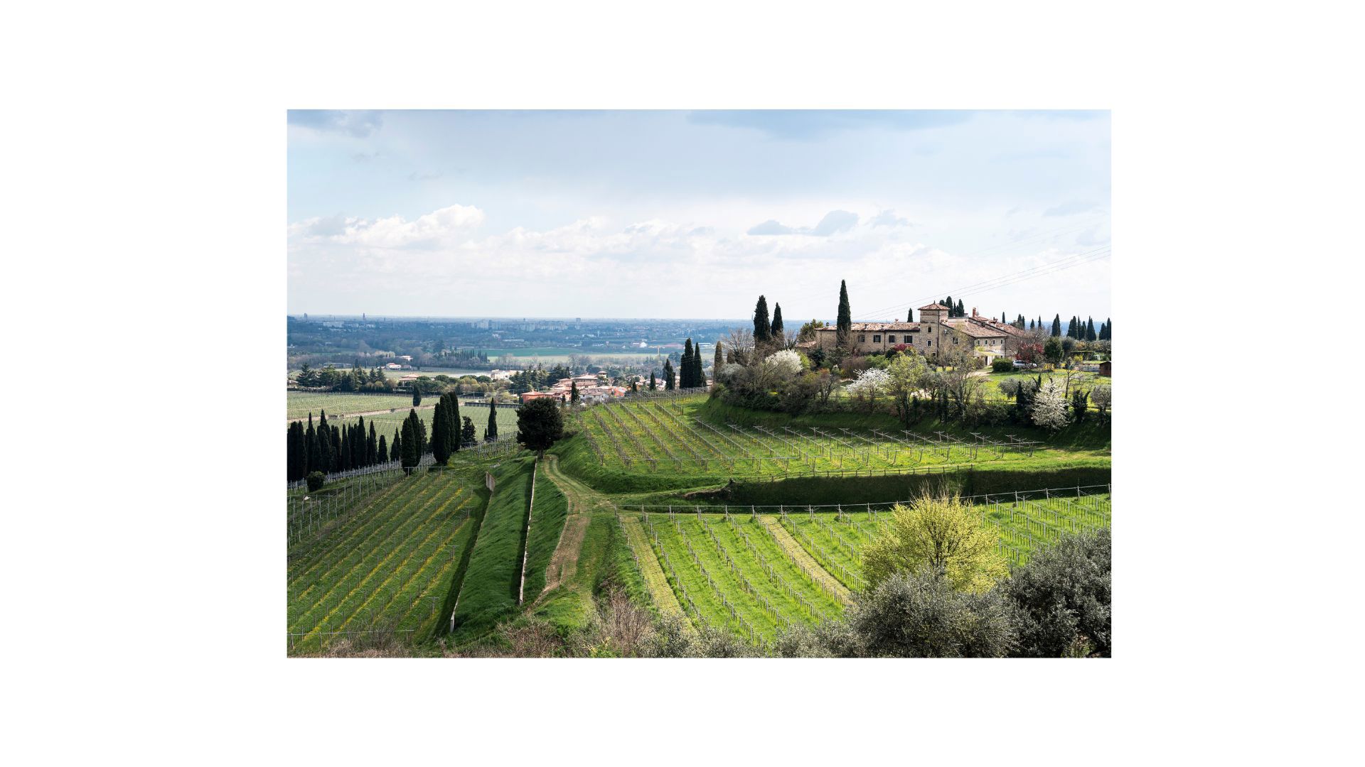 Wine Relais & E Bike im Valpolicella 4