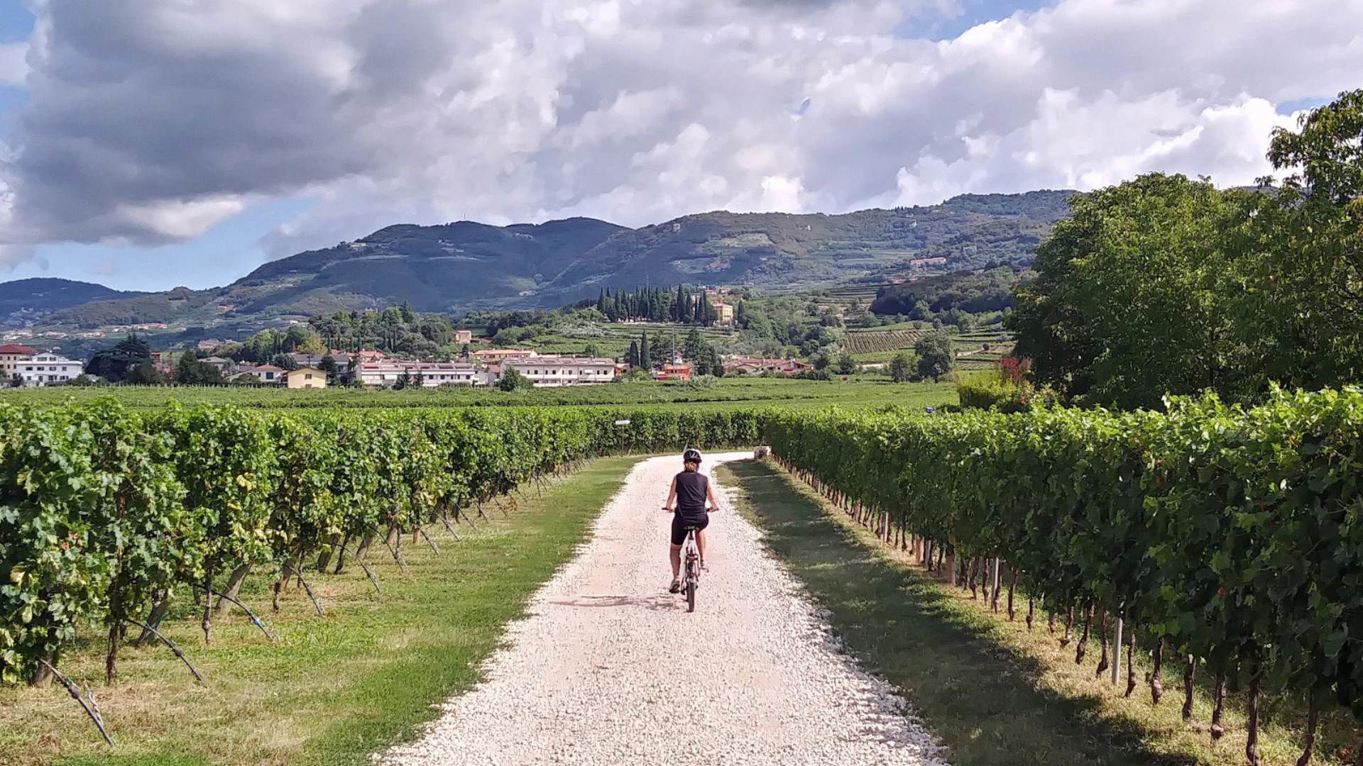 Wine Relais & E Bike im Valpolicella 8
