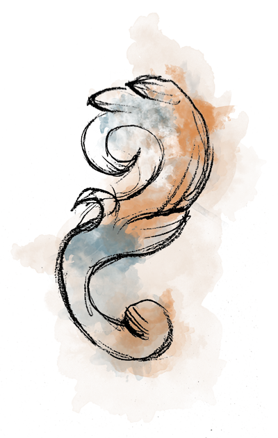 Torre Capranica, a meeting point between history and modernity 37