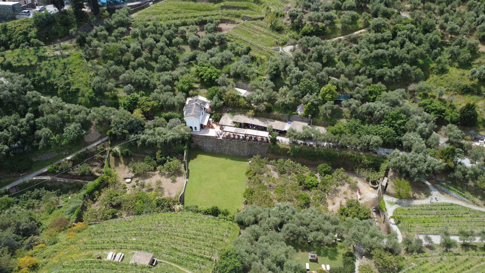 Ristorante 10