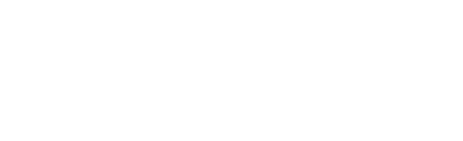 Nero Hotels Logo