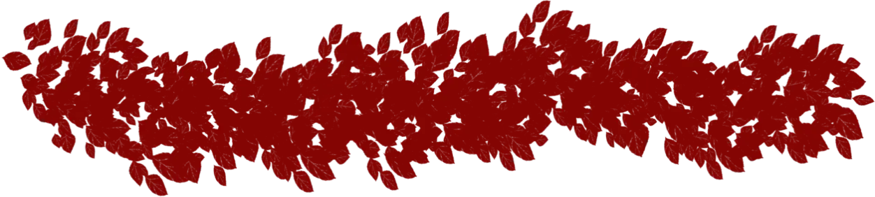 Confinio Events Logo Footer