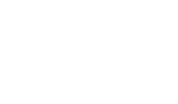 The Ner Collection