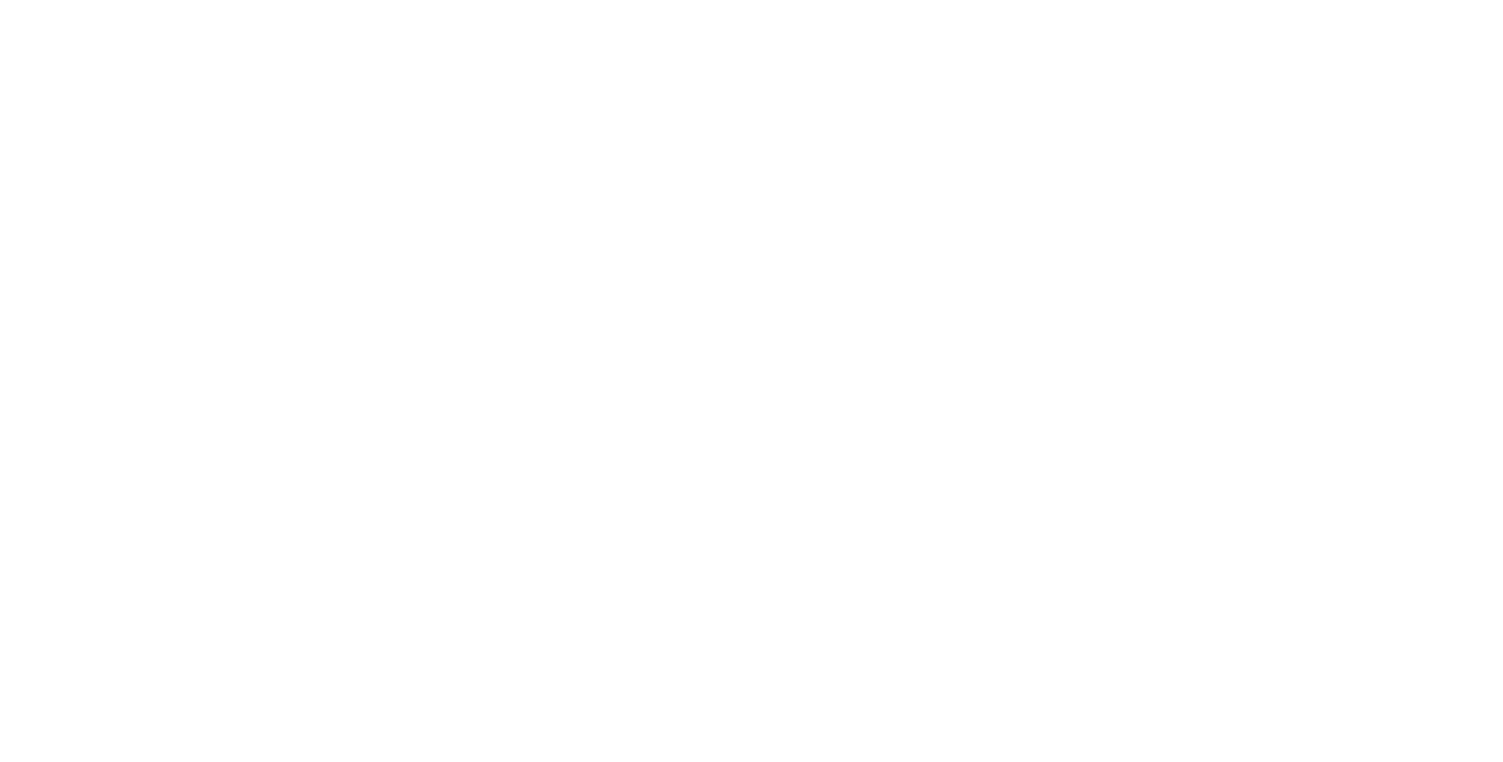 La Romantica - sviluppo Logo