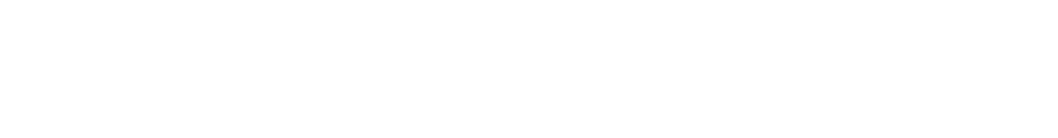 Elizabeth Unique Venice Logo