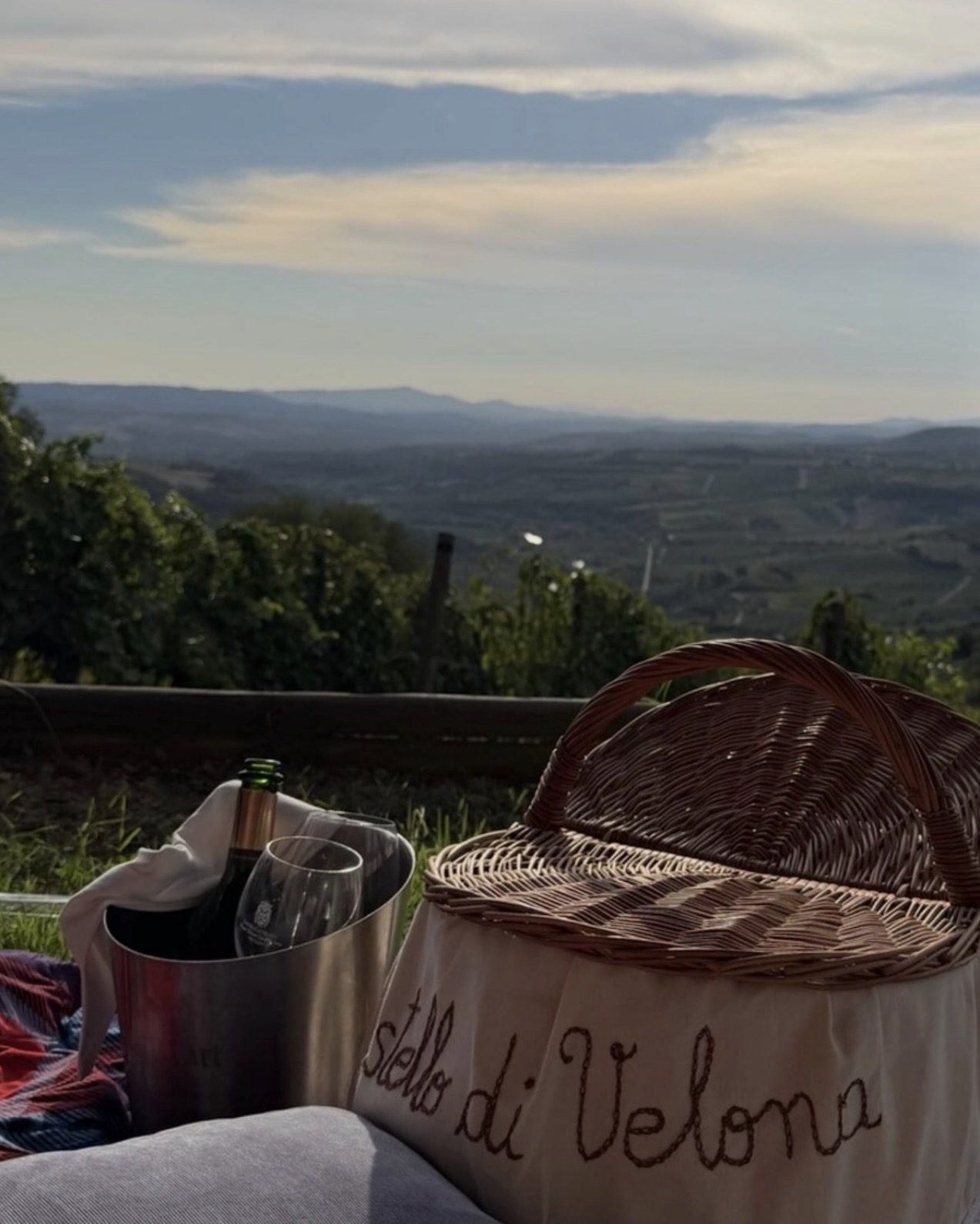 Picnic basket and ice bucket overlooking the vineyards of Castello di Velona